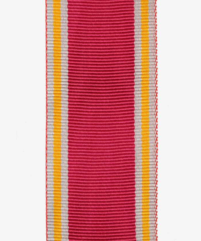 Mecklenburg-Schwerin, Friedrich Franz-Alexandra Cross, Medal of Merit (66)